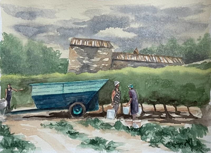 Grape Pickers