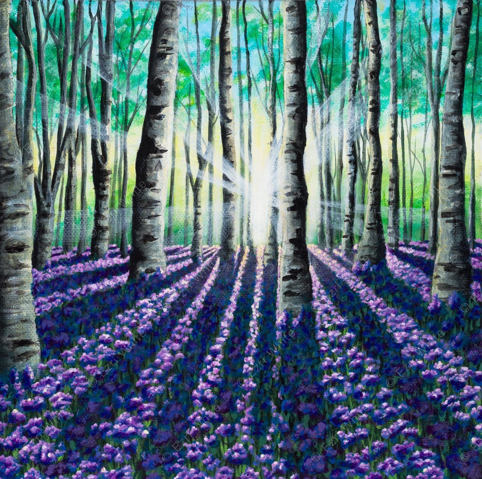 Birch Trees - Print